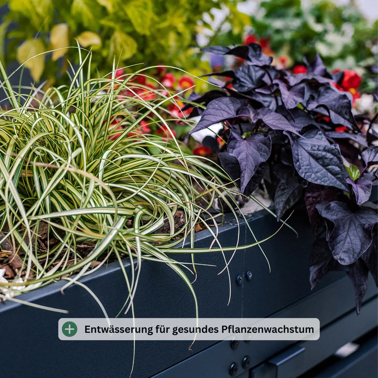 Mülltonnenbox BASE P • 2 Tonnen