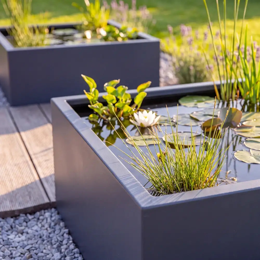 Zwei quadratische Teichbecken aus Aluminium in einem Garten mit Wasserpflanzen auf einem Boden aus hellem Kies.