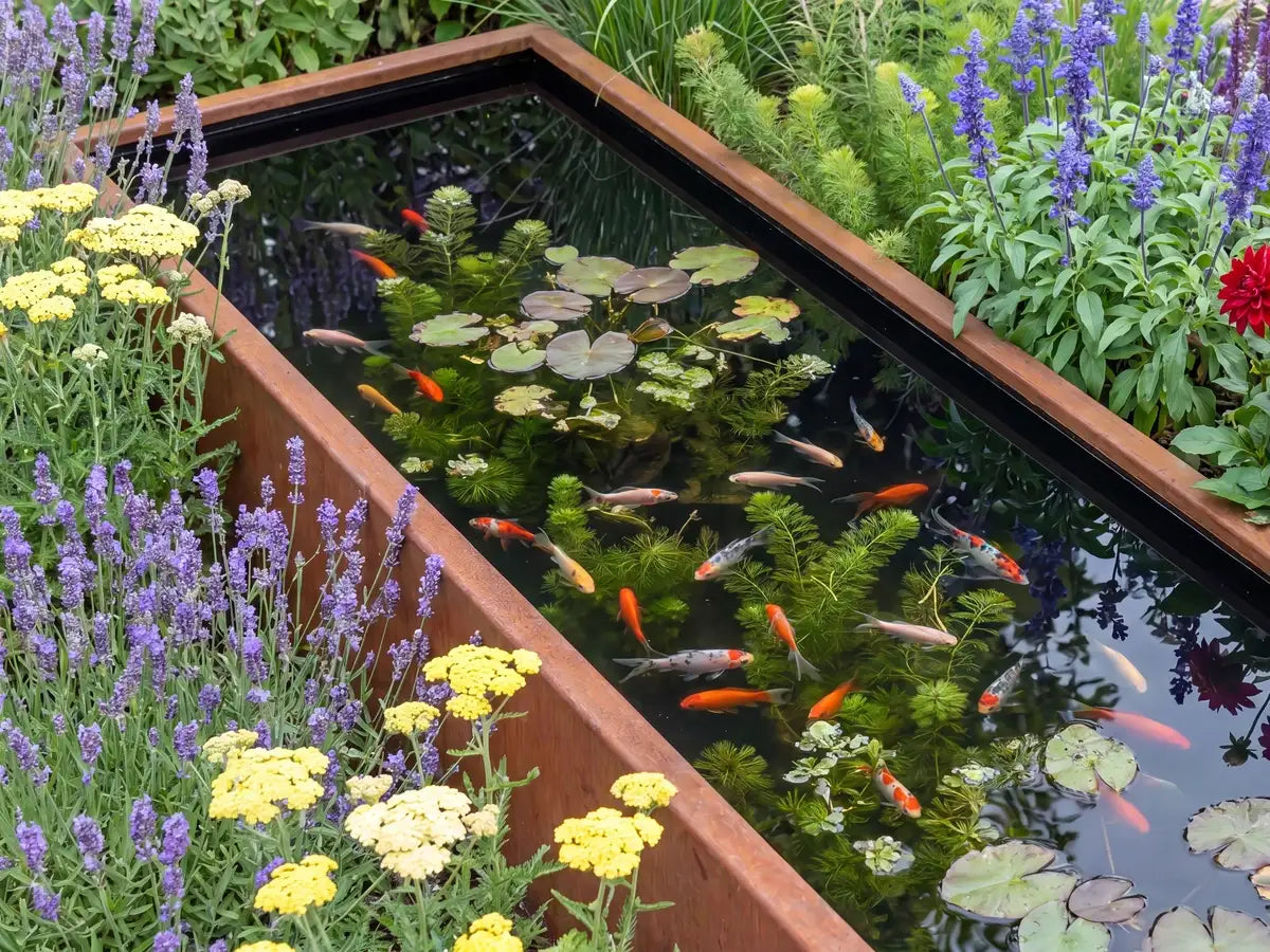 Teich aus Cortenstahl mit Pflanzen und Fischen in einem grünen und bunten Blumenbeet