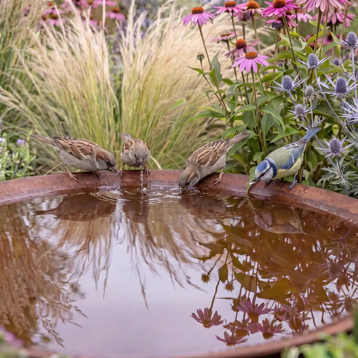 Wasserschalen für den Garten aus Metall für eine stilvolle Vogeltränke, als Wasserobjekt oder dekoratives Element im Garten.
