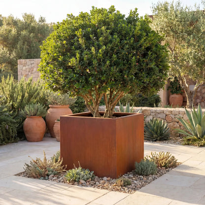 Pflanzkübel Q • Cortenstahl