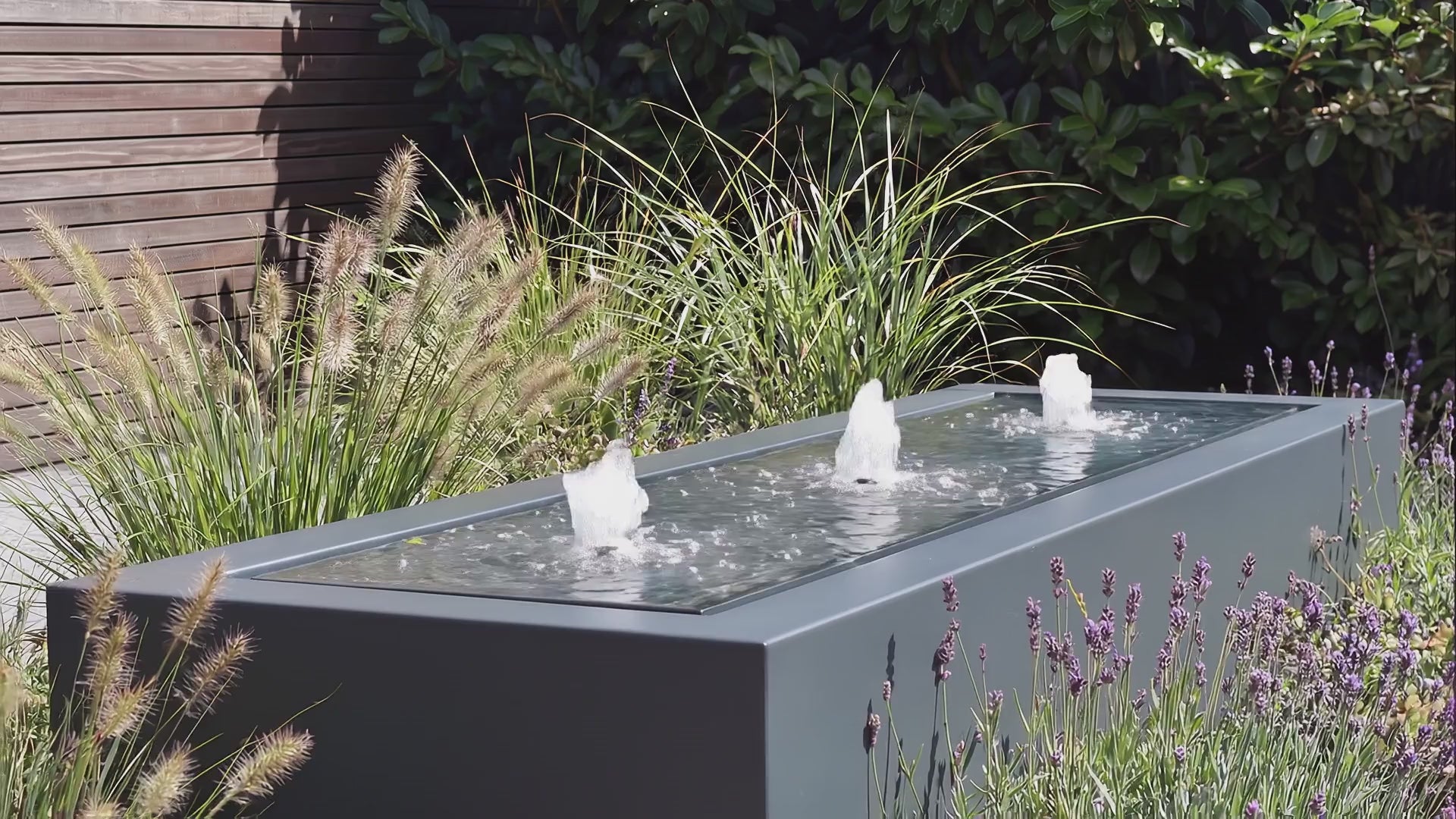 Video laden: 