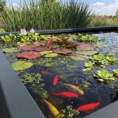 Wasserbecken Q • Aluminium