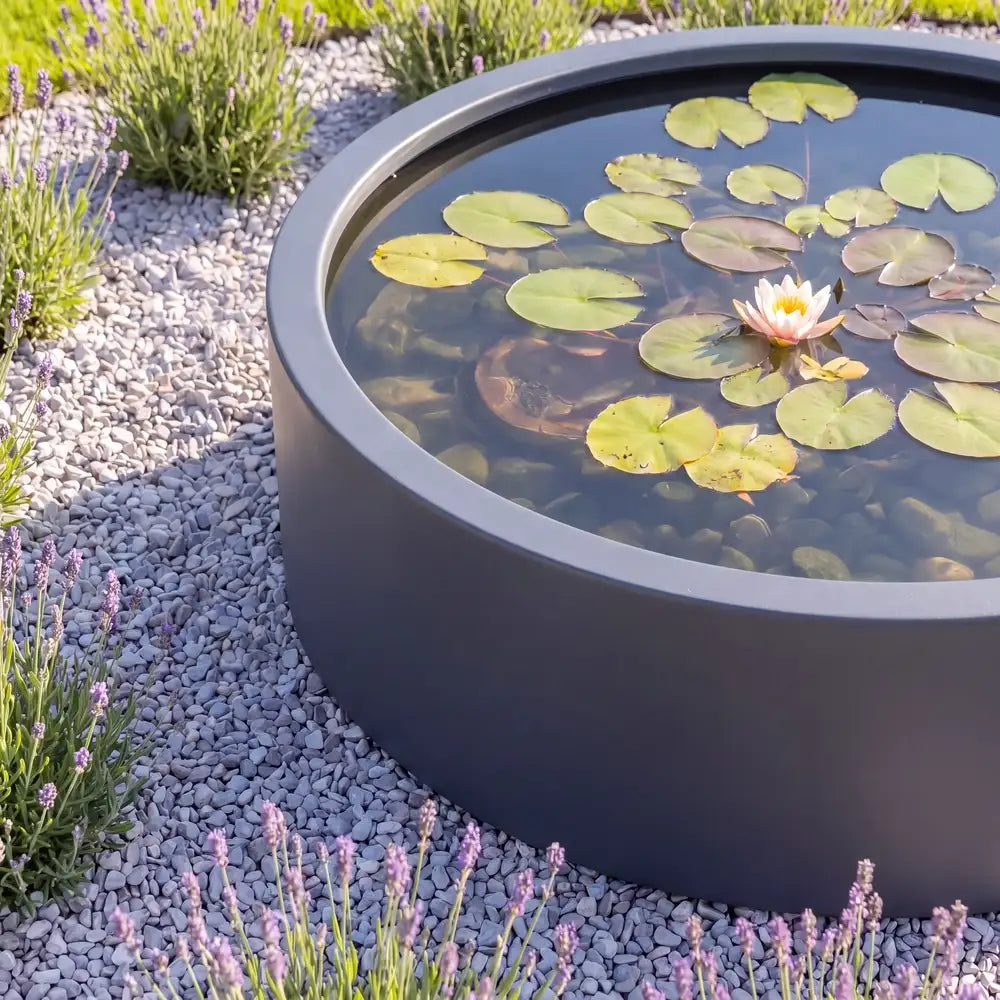 Runder Hochteich aus Aluminium mit Teichpflanzen im Wasser mit hellem grauen Kies auf dem Boden im Aussenbereich.