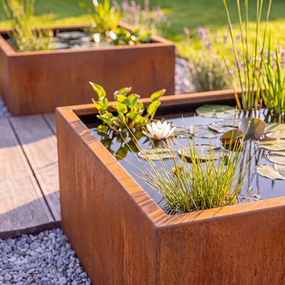 Zwei quadratische Teichbecken aus Cortenstahl in einem Garten mit Wasserpflanzen auf einem Boden aus hellem Kies.