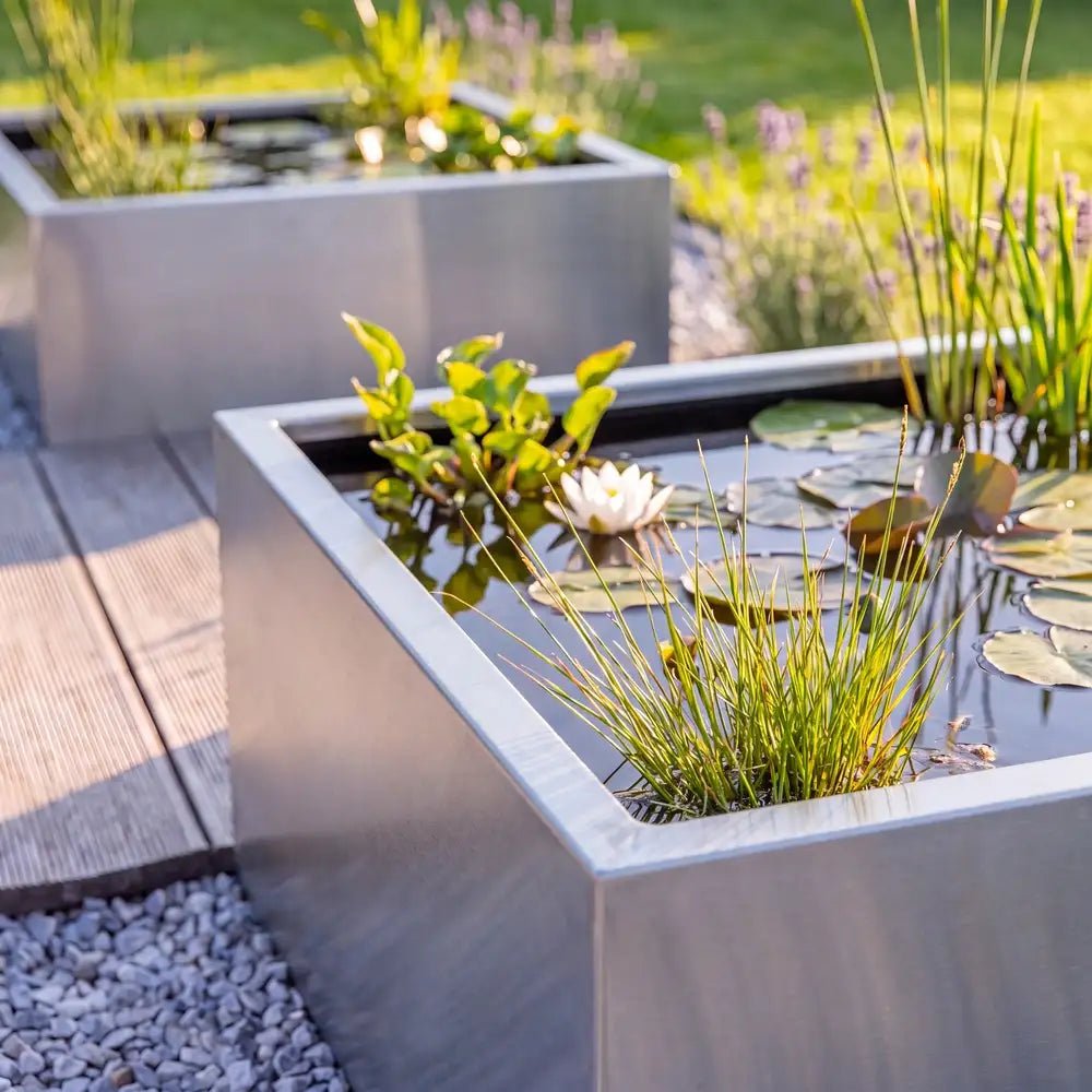 Zwei quadratische Teichbecken aus Edelstahl in einem Garten mit Wasserpflanzen auf einem Boden aus hellem Kies. 