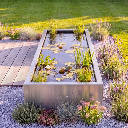 Langer rechteckiger Teich aus Edelstahl mit Wasserpflanzen und Fischen, auf einer Kiesfläche mit Lavendel in einem Garten.